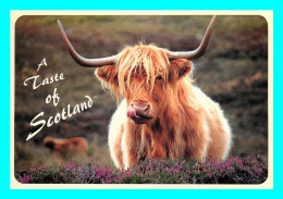 A757 / 203 A Taste Of Scotland ( Vache ) - Other & Unclassified