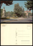 PORTUGAL COR 62956  - LUSO - AVENIDA NAVARRO - Viseu