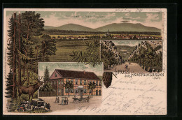 Lithographie Friedrichsbrunn /Harz, Meyer`s Gasthaus Zum Schwarzen Adler, Kaltes Tal, Panorama  - Otros & Sin Clasificación