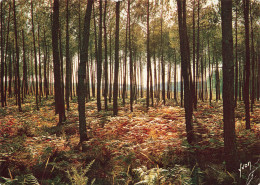 40 LES LANDES LA FORET  - Altri & Non Classificati