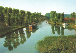 31 LE CANAL DU MIDI - Autres & Non Classés