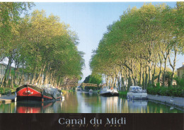 31 LE CANAL DU MIDI - Autres & Non Classés