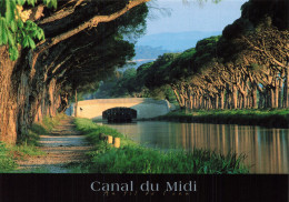 31 LE CANAL DU MIDI - Autres & Non Classés