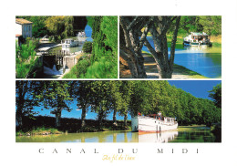 31 LE CANAL DU MIDI - Autres & Non Classés