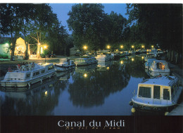 31 LE CANAL DU MIDI - Autres & Non Classés