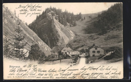 AK Noirvaux, Teilansicht Auf Häuser, Und Bergkamm Mit Wald  - Sonstige & Ohne Zuordnung