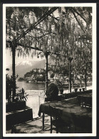 AK Ascona, Albergo Elvetia Clycine Blüte, Terrasse Mit See- Und Ortsblick  - Ascona