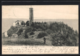 AK Jena, Fuchsturm Mit Umgebung Und Spaziergänger  - Jena