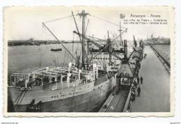 Antwerpen Schelde Haven Zuiderterras Schip Mar Del Plata Photo Carte Anvers Htje - Antwerpen