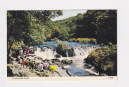 WALES - Cenarth Falls Used Postcard - Carmarthenshire