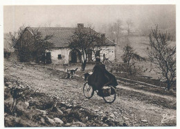 CPSM / CPM 10.5 X 15 Photographe JOËL COUCHOURON Les Vosges Le Facteur  Bicyclette  Chien - Otros & Sin Clasificación