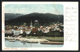 AK Schandau /Sächs. Schweiz, Ortsansicht Mit Kirche U. Booten Am Flussufer  - Bad Schandau