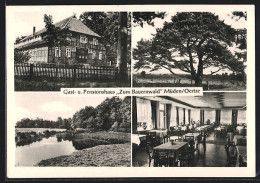 AK Müden / Örtze, Gasthaus & Pension Zum Bauernwald  - Sonstige & Ohne Zuordnung