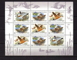 URSS - (1989) - Faune - Canards - Neufs** - MNH - Nuovi