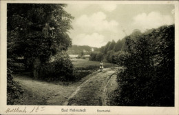 CPA Helmstedt In Niedersachsen, Brunnental - Otros & Sin Clasificación