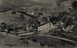 CPA Bad Grund Im Harz, Gesamtansicht, Kreistal - Otros & Sin Clasificación