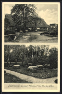 AK Mitteldorf /Kr. Verden A. D. Aller, Haltermanns Gasthof Mit Einfahrt Und Gartenpartie  - Other & Unclassified